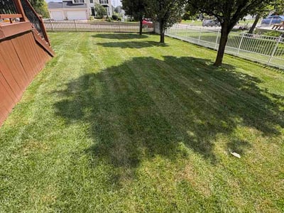 Lawn care service in Miamisburg, 45342