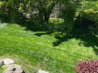 Lawn care service in Draper, 84020