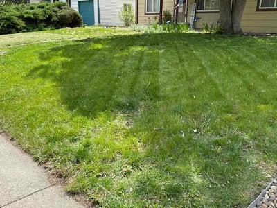Lawn care service in Aurora, 80010