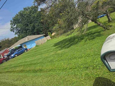 Lawn care service in Cincinnati, 45255