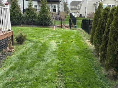 Lawn care service in Lewis Center, 43035