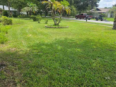 Lawn care service in Orlando, 32825