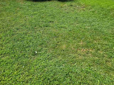 Lawn care service in Manassas, 20110