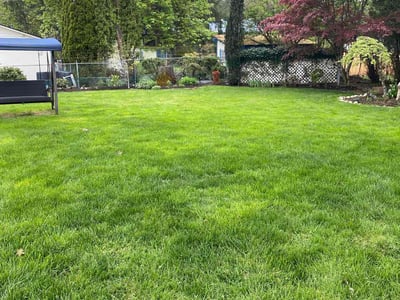 Lawn care service in Algona, 98001