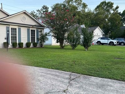 Lawn care service in Charleston, 29414