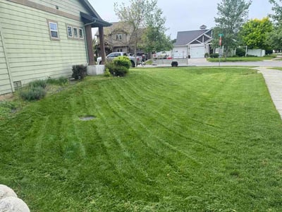 Lawn care service in Coeur d'Alene, 83815