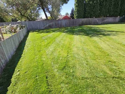 Lawn care service in Boise, 83709