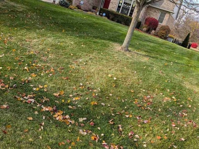 Lawn care service in Commerce Township, 48382