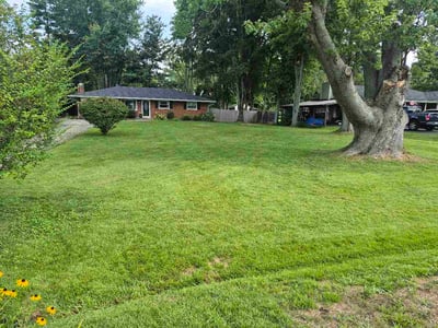 Lawn care service in Cincinnati, 45255