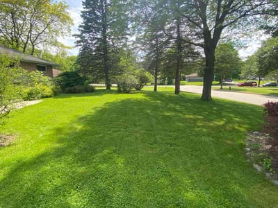 Lawn care service in Greenfield, 53228