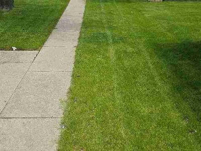 Lawn care service in Milwaukee, 53216