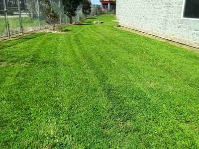 Lawn care service in Catonsville, 21228