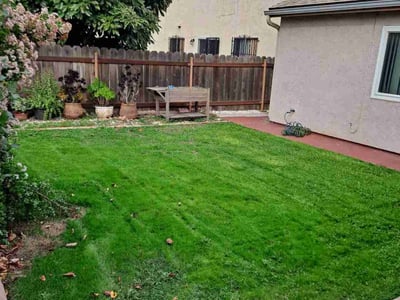Lawn care service in San Diego, 92154