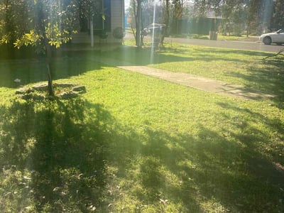 Lawn care service in Austin, 78751