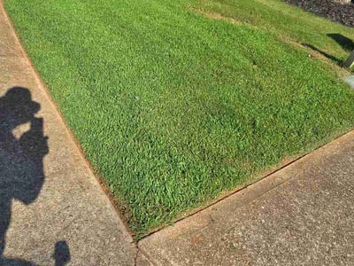 Lawn care service in Buford, 30519