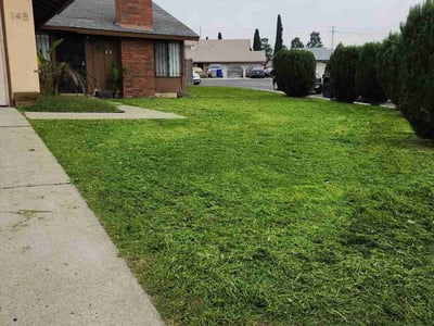 Lawn care service in San Diego, 92114