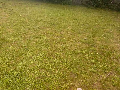 Lawn care service in Fairborn, 45324