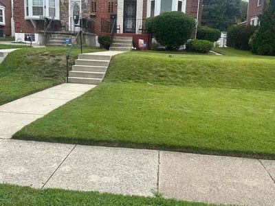Lawn care service in Baltimore, 21218