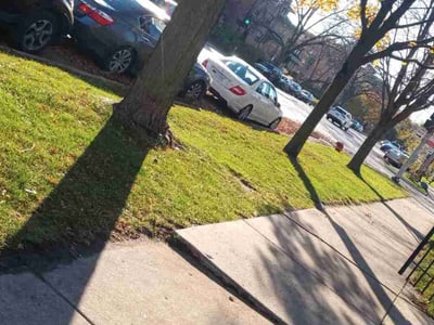 Lawn care service in , 