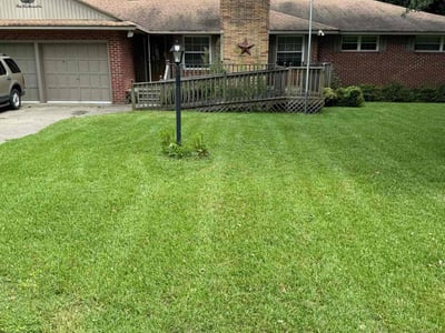 Lawn care service in Portsmouth, 23703