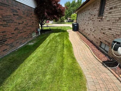 Lawn care service in Sterling Heights, 48313