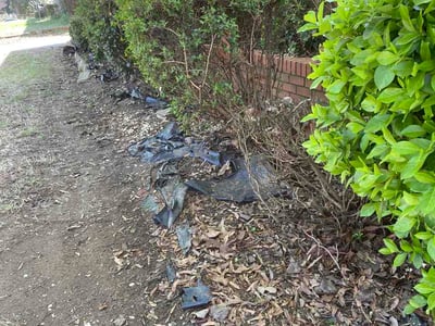Lawn care service in Greensboro, 27401