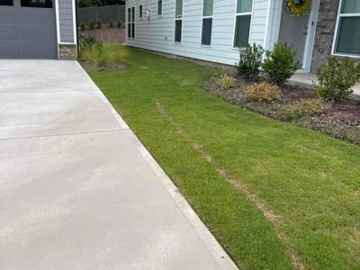 Lawn care service in Matthews, 28104