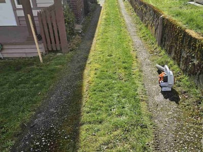Lawn care service in Seattle, 98105