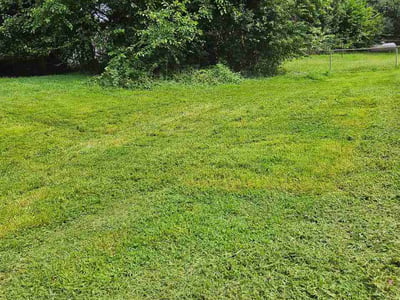 Lawn care service in Inman, 29349