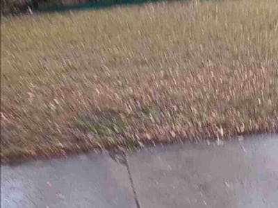 Lawn care service in , 