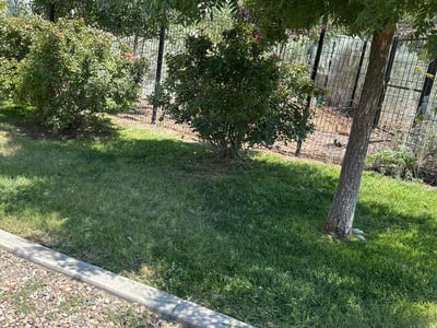 Lawn care service in Albuquerque, 87122