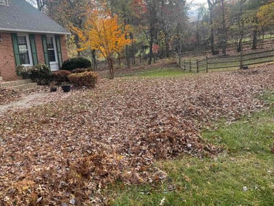 Lawn care service in Ellicott City, 21042