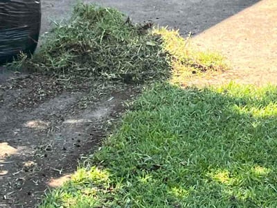 Lawn care service in Fayetteville, 28314