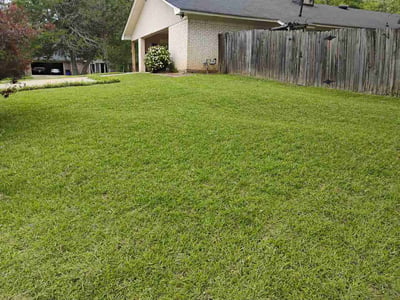 Lawn care service in Madison, 39110