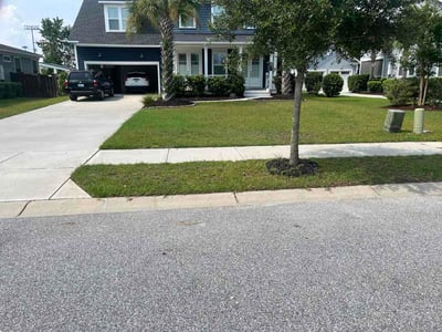 Lawn care service in Charleston, 29412
