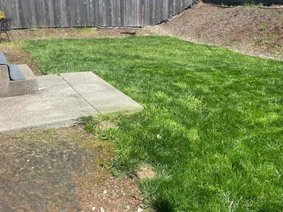 Lawn care service in La Center, 98629