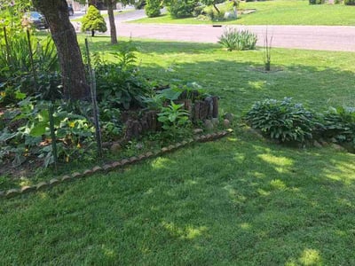 Lawn care service in Little Canada, 55109