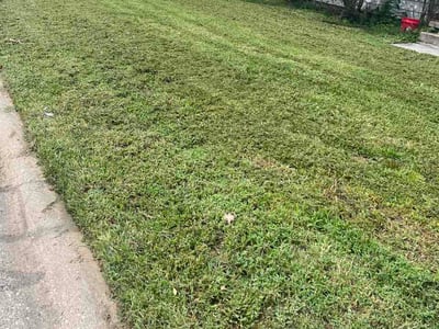 Lawn care service in Swansea, 62226