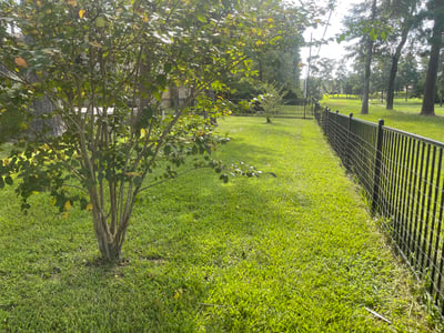 Lawn care service in Conroe, 77304