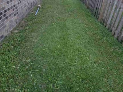 Lawn care service in Pace, 32571