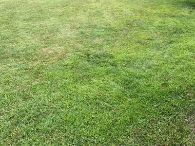 Lawn care service in Eden Prairie, 55346