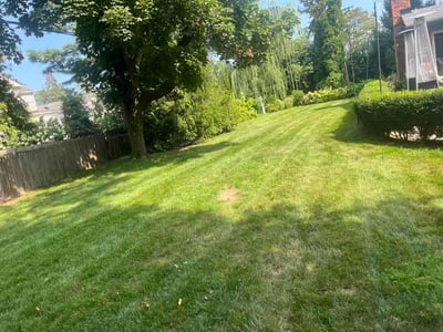 Lawn care service in Grosse Pointe Farms, 48236