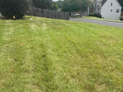 Lawn care service in Stonecrest, 30038