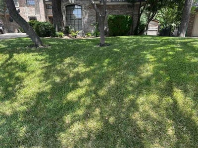 Lawn care service in San Antonio, 78248