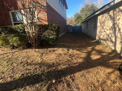 Lawn care service in Dallas, 75236