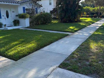 Lawn care service in West Palm Beach, 33403