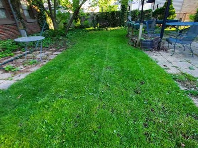 Lawn care service in Berwyn, 60402