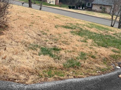Lawn care service in Knoxville, 37922