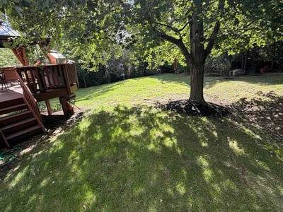 Lawn care service in West Chester Township, 45069