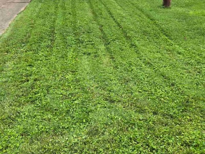 Lawn care service in New Richmond, 45157